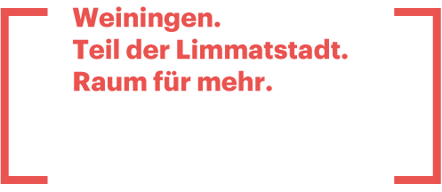 Limmatstadt Grafik