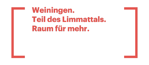 Limmatstadt Grafik
